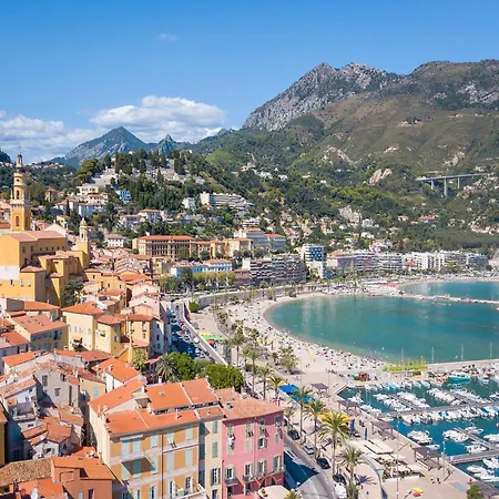 Garden View Daturas - Happy *